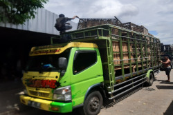 Pedagang Pasar Terban Pindah Ke Selter Sementara