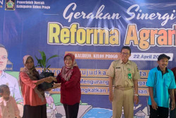 Reforma Agraria Kulonprogo, BPN Bagikan Bibit Guna Optimalkan Pengelolaan Pertanian