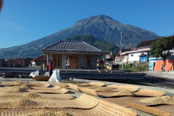 Sedoeloer Kopi, Menjaga Harum Temanggung Sampai di Berbagai Penjuru Indonesia
