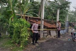 Pencurian Ternak di Kulonprogo Marak, 5 Kambing Hilang dalam Semalam