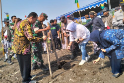 Budidaya Sorgum Lereng Merapi Diperluas