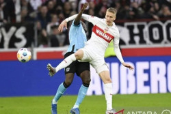Taklukkan Bayern Muenchen 1-3 Stuttgart Tempel Ketat FC Hollywood di Posisi Kedua