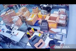 Viral Unboxing Paket Mainan Megatron, Kemenkeu Pastikan Itu Bukan Ulah Bea Cukai