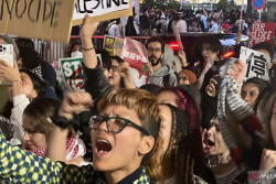 Ratusan Warga di Jepang Mengikuti The Intifada March, Bela Palestina