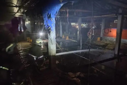 Kandang Terbakar, Ribuan Anak Ayam Terpanggang Api