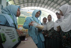 Sisa Bahan Makanan yang Difermentasi Bisa Jadi Energi Listrik