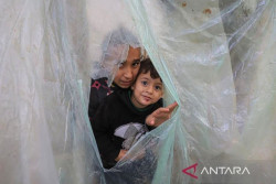 FAO: 1 Juta Lebih Warga Gaza Palestina Terancam Mati Kelaparan