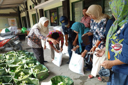Kelurahan Sosromenduran Siapkan Lorong Sayur, Jadi Alternatif Wisata di Sumbu Filosofi