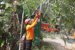 Petugas BPBD Bantul Evakuasi Pohon Tumbang yang Menimpa Kios Duplikat Kunci
