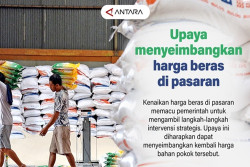 Upaya Menyeimbangkan Harga Beras di Pasaran