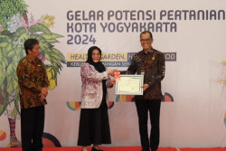 Cempura dan Semar, Mangga Khas Keraton Yogyakarta