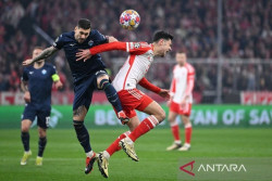 Bayern Munich Perpanjang Kontrak Aleksandar Pavlovic hingga 2029