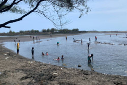 Kunjungan Wisatawan Kulonprogo Meningkat, Pantai Glagah Masih Jadi Favorit