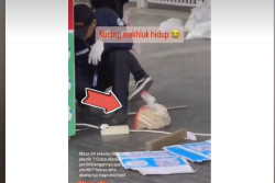 Viral Petugas Membungkus Kucing dengan Plastik Demi Sterilkan Kawasan Gelora Bung Karno