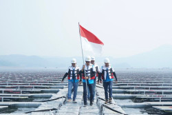 PLN Jadi Perusahaan Utilitas Terbaik Se-Kawasan Versi Fortune 500 Asia Tenggara