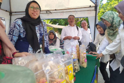 Poklahsar di Kulonprogo Produksi Cilok Lele, Bakso Tuna hingga Donat Lele