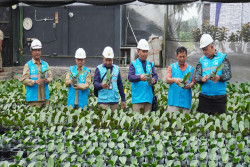 Pesona Anggrek Nambangan, Tumbuh Subur Berkat Listrik PLN