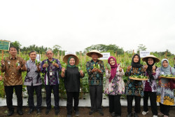 Optimalkan Tanah Kas Desa Untuk Produktivitas Masyarakat