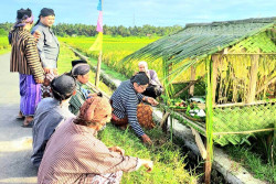 Di Luar Dugaan, Panen Bulan Ini di Kulonprogo Memuaskan, Segini Angkanya