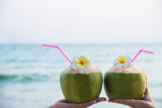 Air Kelapa Membantu Menghidrasi Tubuh saat Cuaca Panas