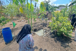 Geger Air Tiba-tiba Muncul di Pekarangan Warga Siraman Gunungkidul, Pakar UGM Ungkap Asal-Muasalnya