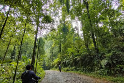 Bersama-sama Menjaga Kesehatan "Paru-Paru" Dunia