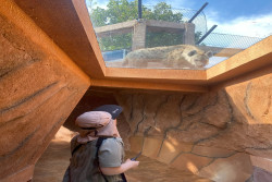Gembira Loka Zoo Hadirkan Zona Cakar di Masa Libur Lebaran