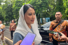 Wamendag & Satgas Pangan Usut Pengusaha Nakal yang Ubah Kemasan Beras