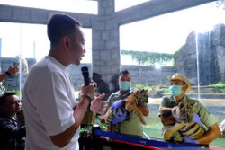 Tiga Bayi Harimau Benggala Jadi Keluarga Baru di Solo Safari, Wali Kota Beri Nama