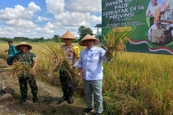 Pemkot Jogja Dorong Petani Optimalkan Hilirisasi di Lahan Sempit