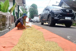 Salut! Warga Selomartani Kalasan Bantu Pemudik Menuju Tol Jogja-Solo, Tak Terganggu Lalu Lintas Masuk Perkampungan