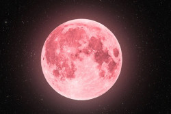 Ada Fenomena Bulan Purnama pada Pink 13 April 2025