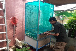 Budi Daya Magot, Bank Sampah Sekarwangi 04 Mampu Serap Hingga 50 Kg Sisa Dapur Setiap Hari