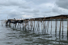 Kejagung Kembalikan Berkas Pagar Laut, Desak Bareskrim Mabes Polri Terapkan Pasal Pidana Korupsi