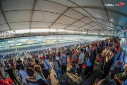 SARGA.CO Gelar BNI Indonesias Horse Racing: Triple Crown Serie 1 & Pertiwi Cup 2025
