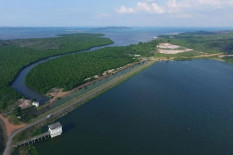 Warga Rempang yang Mau Relokasi Tanjung Banon Terus Bertambah, BP Batam Percepat Pembangunan Hunian