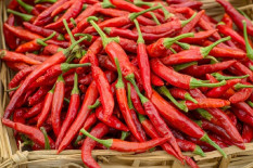 Harga Pangan Hari Ini Sabtu 19 April 2025: Cabai Rawit Rp74.100 per Kilogram