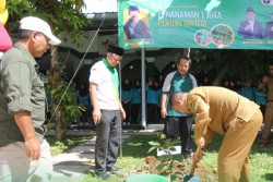 Gerakan Ekoteologi, 5.000 Pohon Matoa Ditanam di Kulonprogo