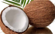 Harga Kelapa Parut di Kulonprogo Tembus Rp17.000, Ibu Rumah Tangga Mengeluh