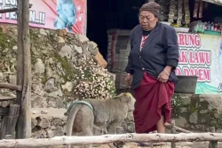 Fakta Mendiang Mbok Yem, 30 Tahun Tinggal dan Berjualan di Puncak Gunung Lawu Ditemani Monyet Bernama Temon