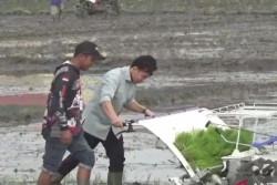 Wapres Gibran Tanam Padi Varietas Inpari 32 di Ngawi