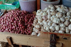 Harga Pangan Hari Ini Minggu 25 Mei 2025: Telur dan Bawang Merah Cenderung Stabil