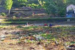 Ekskavator yang Terjebak 10 Tahun di Danau Buatan Mangunan Dievakuasi