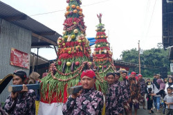 Dua Gunungan Hasil Bumi Diarak dalam Merti Dusun Warga Lereng Sumbing