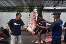 Tim Pemantau Hewan Kurban UGM Sebut Temuan Cacing Hati Tahun Ini Menurun