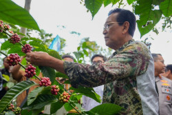 Top Ten News Harianjogja.com, Selasa 17 Juni 2025, Sultan Panen Perdana Kopi Sleman, Daftar 10 Exit Tol di Jogja