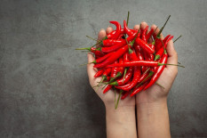 Harga Pangan Hari Ini, Cabai Naik Bawang Merah Turun