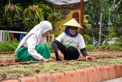 Bertani di Kota, BRI Dukung Peran Perempuan pada Ekonomi dan Kesehatan Keluarga