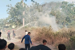 Sehari Dua Kebakaran Hanguskan Lahan 14 Hektare