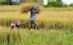 Penempatan Catrans Gunungkidul Dialihkan dari Sukamara ke Polewali Mandar